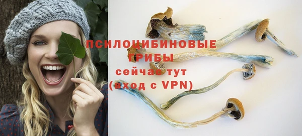 ешки Вязьма