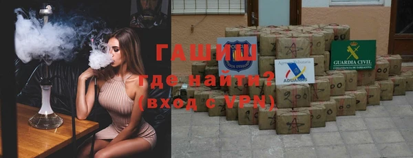 прущие грибы Вяземский