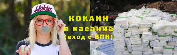 прущие грибы Вяземский