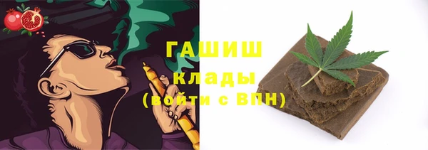 прущие грибы Вяземский