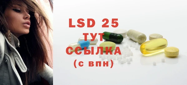 прущие грибы Вяземский