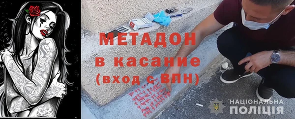 прущие грибы Вяземский
