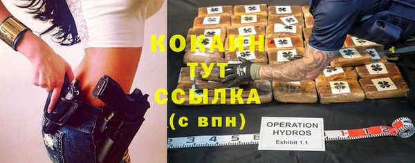 прущие грибы Вяземский