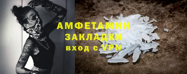 прущие грибы Вяземский