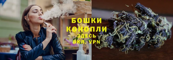 прущие грибы Вяземский