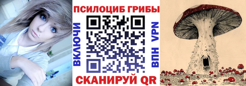 это официальный сайт  Чебоксары  Псилоцибиновые грибы GOLDEN TEACHER 